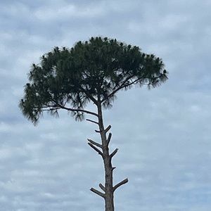 Meet your Posher, Jade